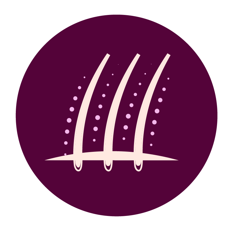 HEALTHY FOLLICLE STRENGTH