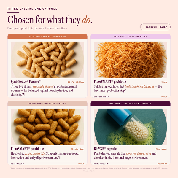 SEASON34 Menopause Synbiotic key ingredients — pre + pro + postbiotic with BioVXR delivery.