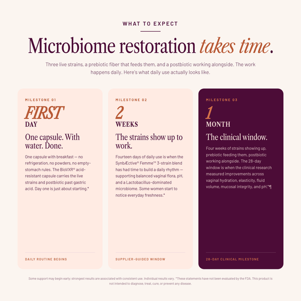 SEASON34 Menopause Synbiotic daily-use timeline — milestones at first day, 2 weeks, 1 month.